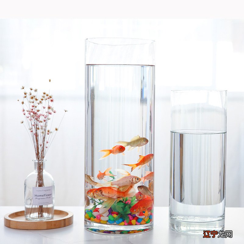 历史新知网：一下好能聚财，养不好还有反作用