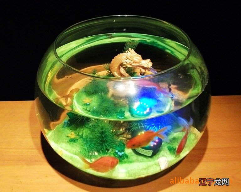 历史新知网：一下好能聚财，养不好还有反作用