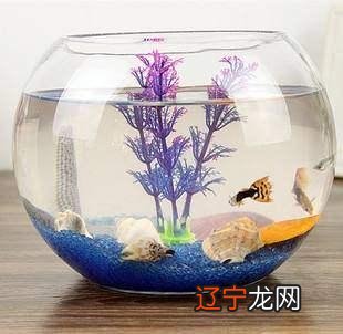 历史新知网：一下好能聚财，养不好还有反作用