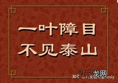 图 有些：历史UP主之间的思维分析工具