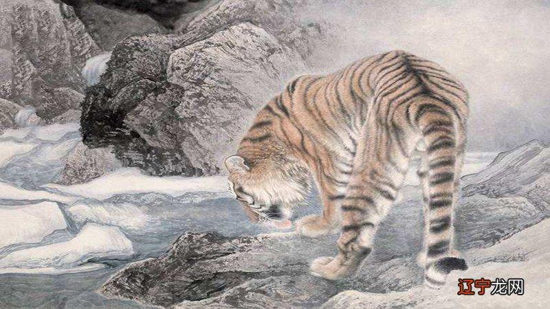 属虎女生和属猴的女士不相配,更不适合在一起。