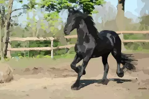 属蛇78年的属相婚配表,92年属什么生肖配对