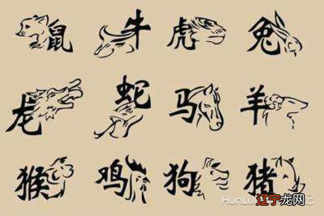 男属猴和女属虎的配不配是什么样的？