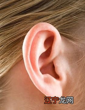 女人眉毛运势_男人修眉毛杂毛影响运势吗_眉毛看几岁的运势