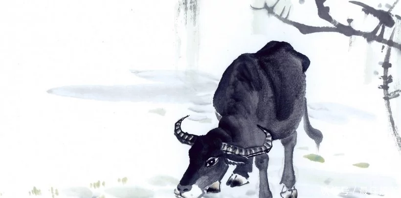 职场上会有贵人与你广结善缘的3大生肖!