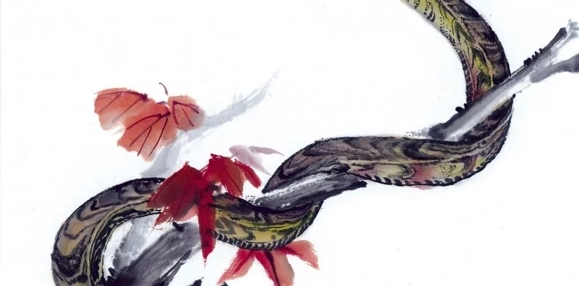 职场上会有贵人与你广结善缘的3大生肖!