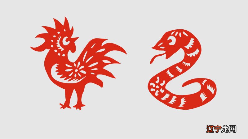 职场上会有贵人与你广结善缘的3大生肖!