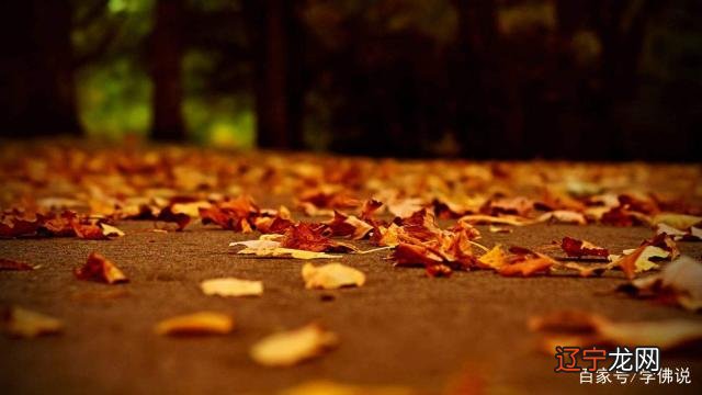 二 梦境真的能预示自己的因果吗?