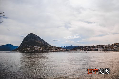 组图 梦见牛群是什么意思?周公如何解释的!