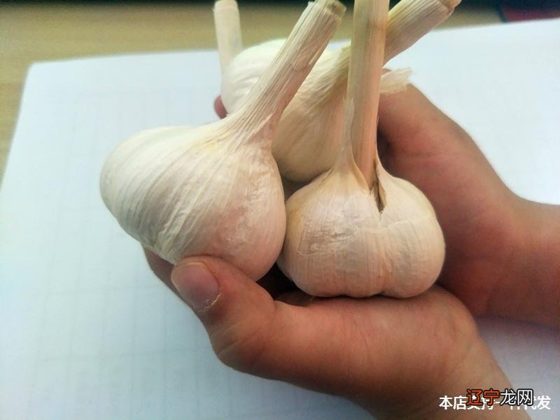 组图 常言道问富在鼻，如何定义“鼻”呢？