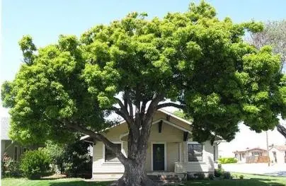 慈世堂:农村房屋风水学入门知识图解图解!!