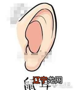 嫁了一个好老公，哪一种耳相能够富贵吉祥？