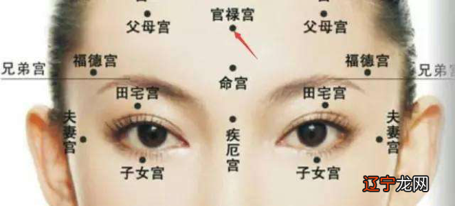 【李向东】一个人一生有没有财运？财运有多大吗？