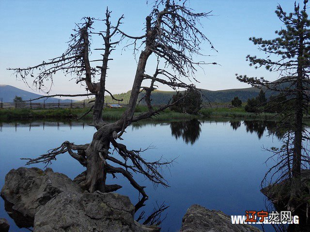 秋天梦之吉利,春天梦不吉利的三大生肖!