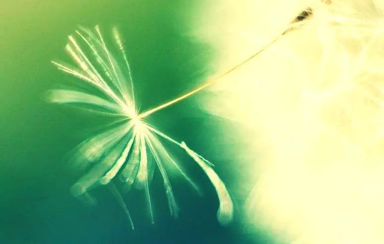 周易预测学被中国社会科学院纳入博士生招生计划,更加印证了这一点