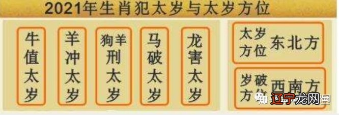 哪些生肖运势利好?生肖兔进入2019年己亥猪年