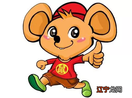 哪些生肖运势利好?生肖兔进入2019年己亥猪年