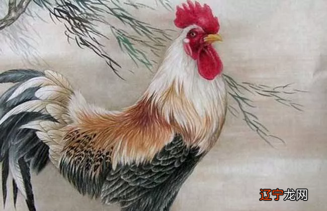 哪些生肖运势利好?生肖兔进入2019年己亥猪年