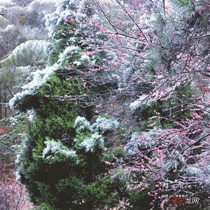 2018到衢州过大年“民俗衢味”主题活动清单公布啦