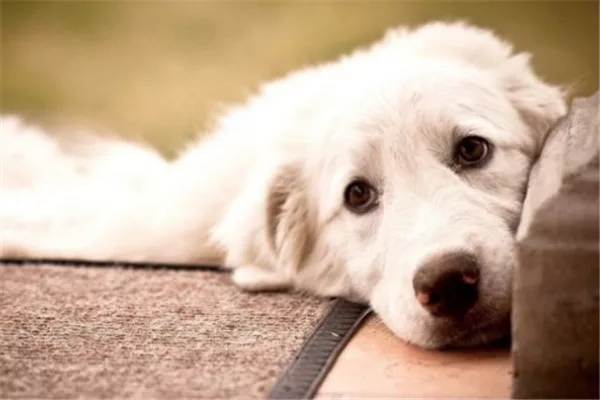 怀化算命哪里准_周易算命_八字合婚的,免费八字