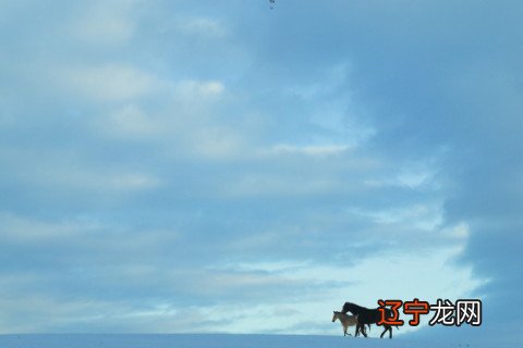 女人耻骨上有痣好吗?女人一定要看看!