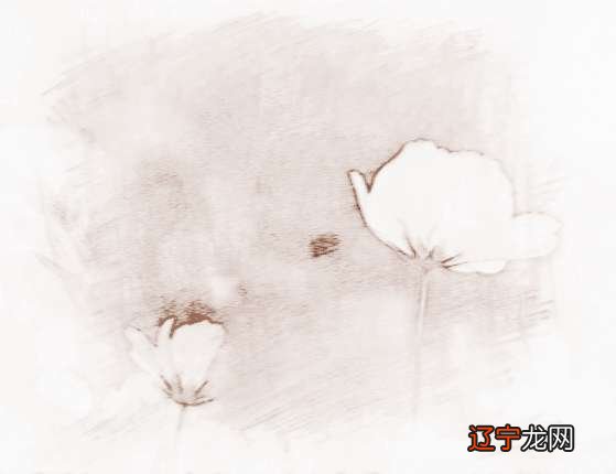 属蛇的人有着的爱情转运风水方法有哪些？