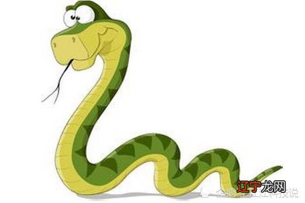 属蛇的人有着的爱情转运风水方法有哪些？