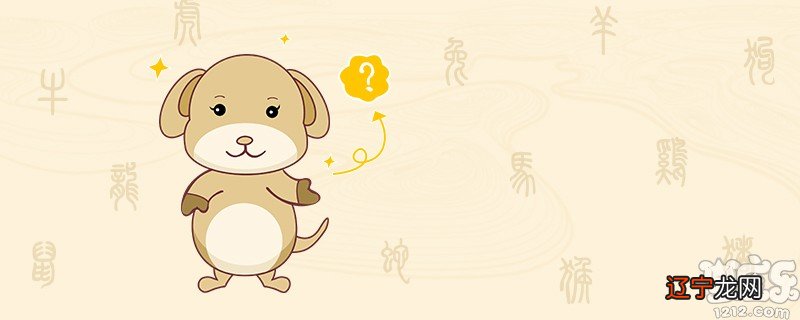 容易给他人留下一种的人规正的3大生肖