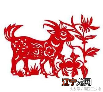 易园三分地:女人持家兴旺,男人有建家、名显荣幸