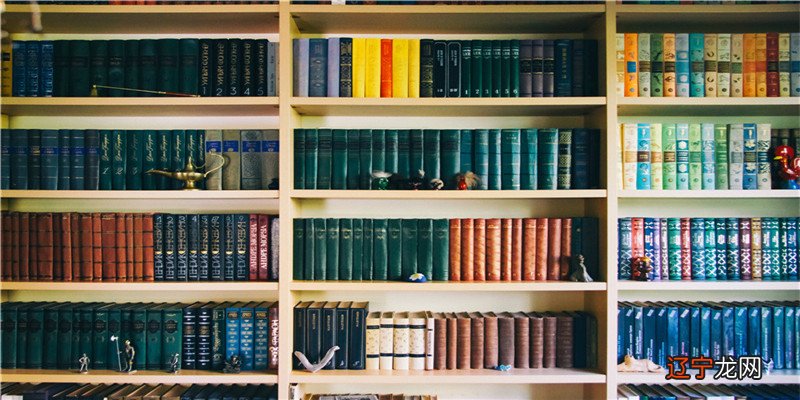 这4种面相的女人,都会是有福气之人!