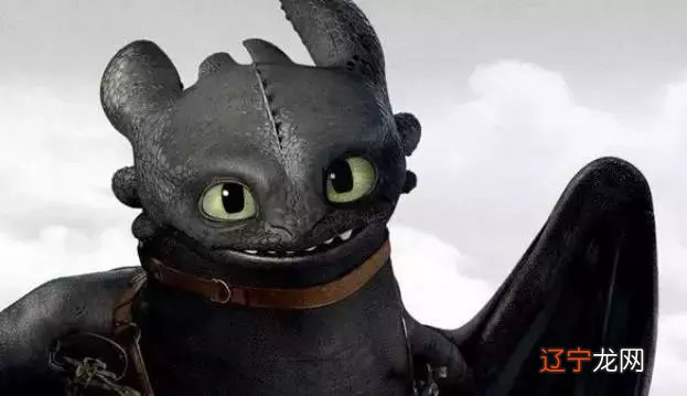 这几个生肖的人容易受伤，有你吗？