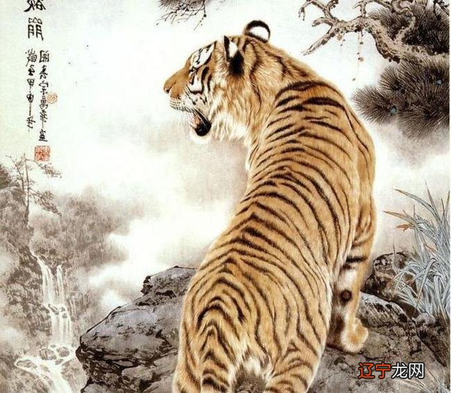 62年属虎的财运在哪个方向年打牌财运方位