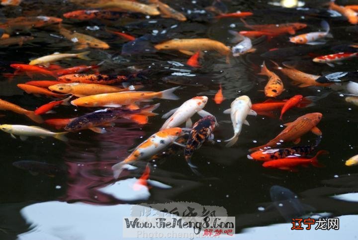 风水堂:梦见水上行者主大吉!