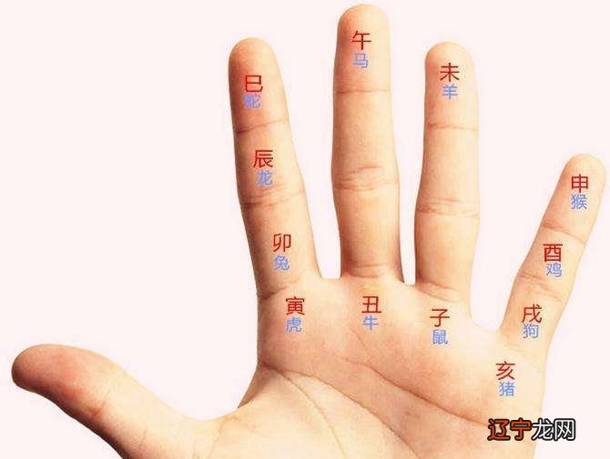 八字看流年运势 风水堂:全息符号与全息公式给我们排列的一清二楚