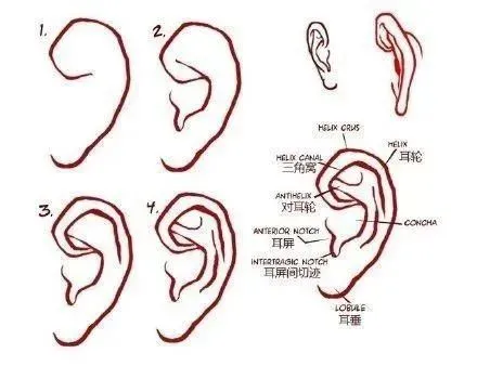 四柱八字看一个人的五官特征,你知道吗?