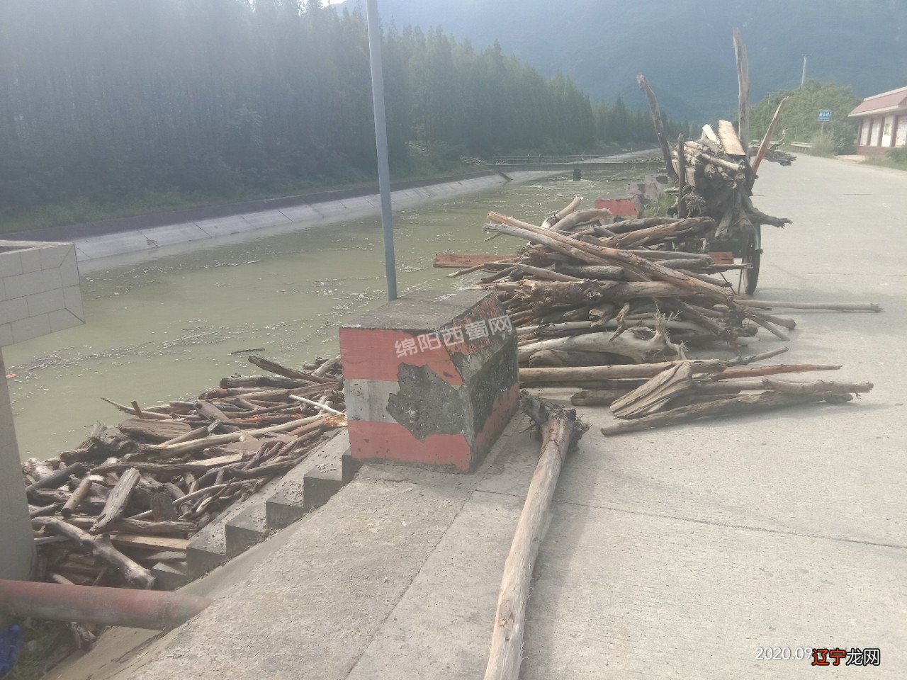 澄迈村民在南渡江里捞出一根10米长木头树龄近千年