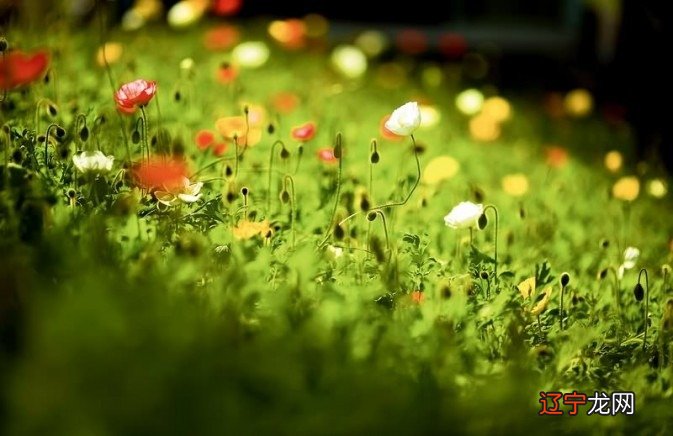 尾字带城字起名有哪些_稼字和萱字能配搭起名吗_孩子起名字