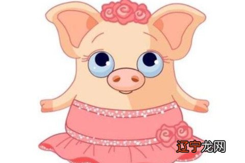 两个95年属猪人的婚配好吗?怎么化解