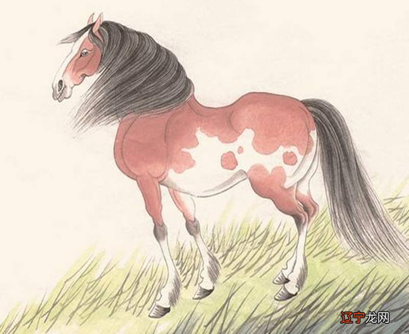 十二生肖先后的排行顺序，你知道几个顺序吗？