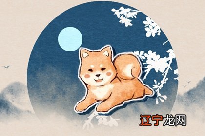 不会风水堂:1958年的人属于什么五行