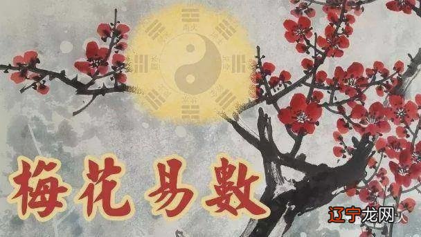 赵若清九星风水跟李居明九星风水哪个才是真正的九？