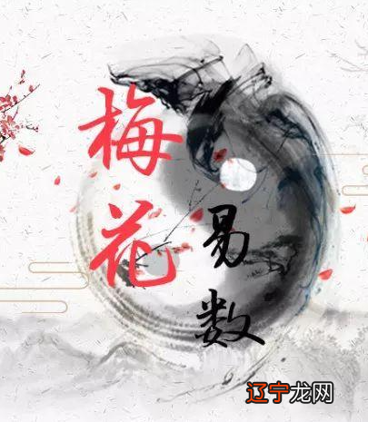 赵若清九星风水跟李居明九星风水哪个才是真正的九？