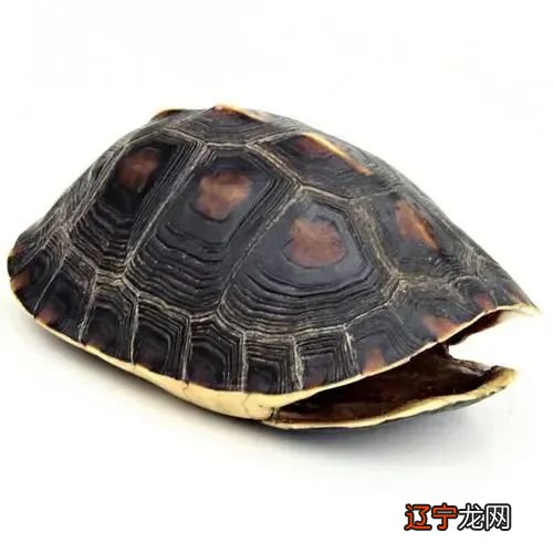 《周易》的八卦图排列顺序，越无知越固执越偏执