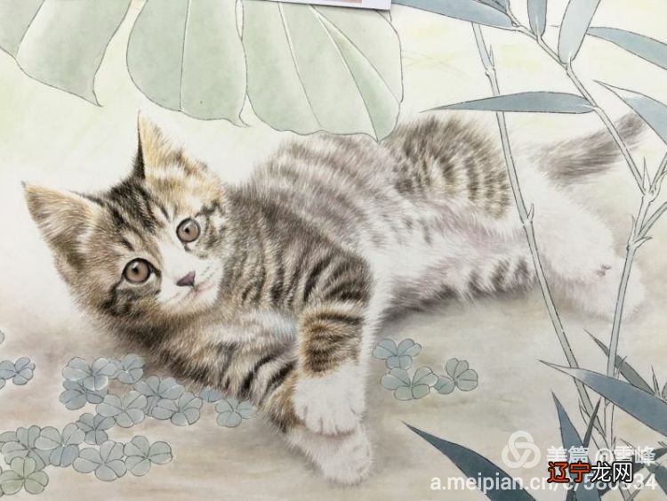 【十二星座了解一下】绝对绝对抱有星座偏见！