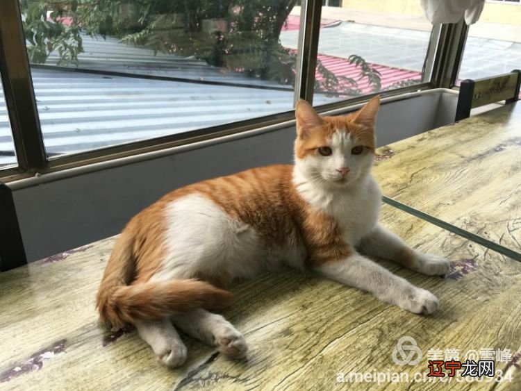 【十二星座了解一下】绝对绝对抱有星座偏见！