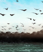 情商不高却自以为情商很高的星座男生是哪几个