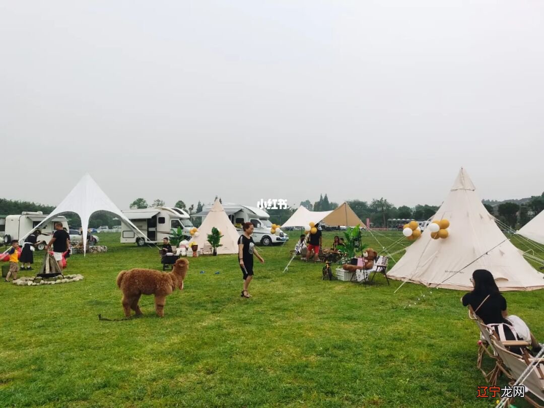 组图 成都旅游加速回暖机票预订客源地、目的地“双第一”