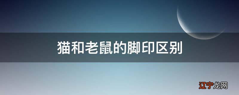 下凡属什么生肖 风水堂:第一位的来历及破解方法