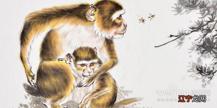 属蛇人与什么属相最配生肖蛇男与属猴女