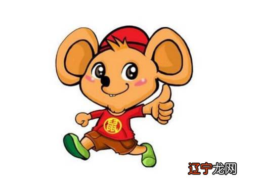 属鼠 属老鼠的年份及年龄表的在各个年份